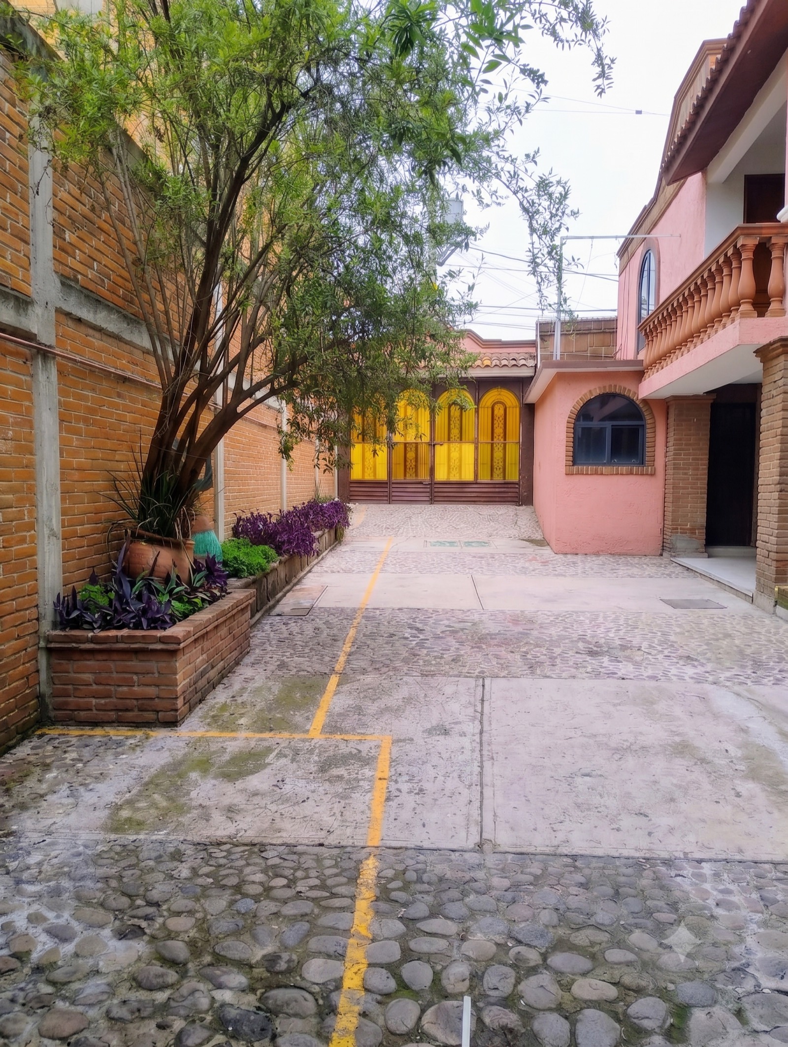 Acceso al patio con árbol, portón amarillo de arcos, jardineras y muros de ladrillo